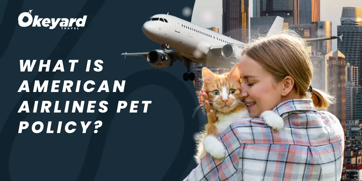 American Airlines Pet Policy