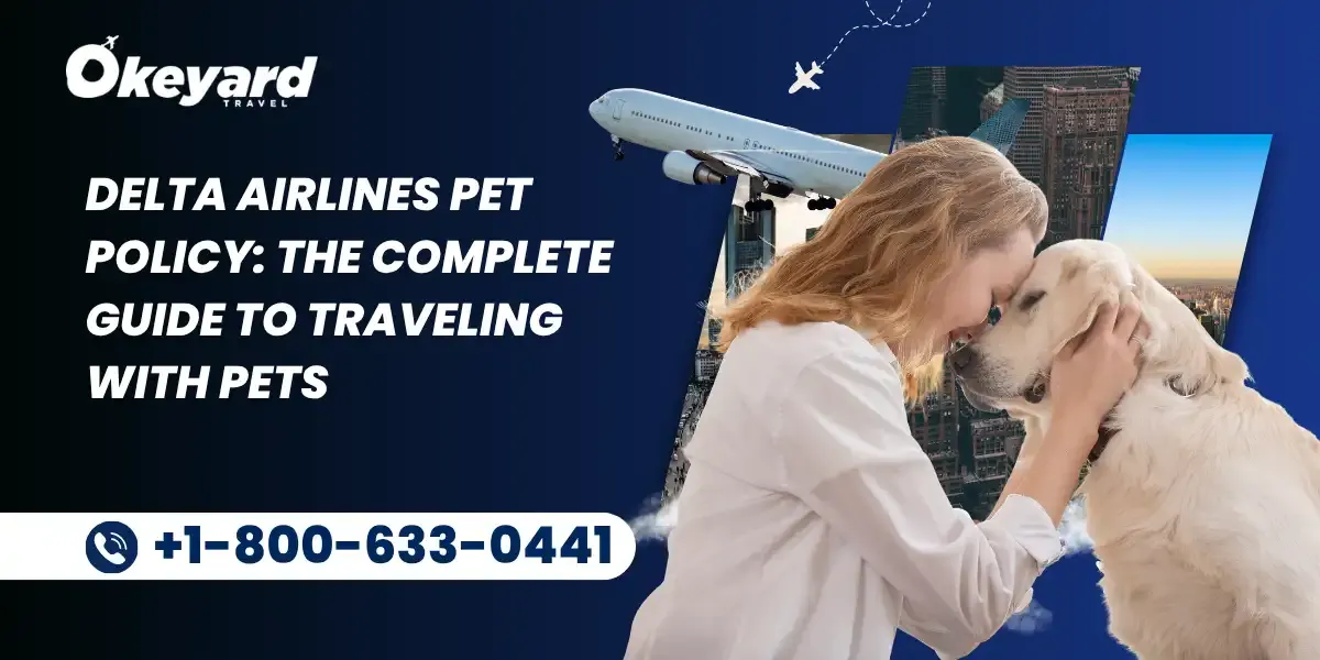Delta Airlines pet policy